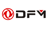 DFM